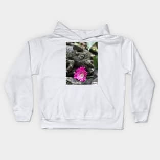 Stoney the Pig and Garvinia Kids Hoodie